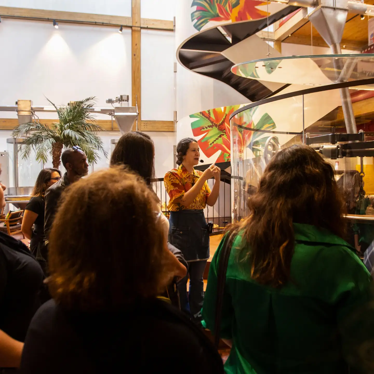 estudio-arnold-MOS-15